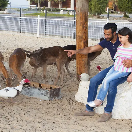 Dana Beach Resort-2